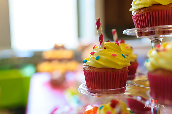 Tenley's_1st_Birthday_Party-006