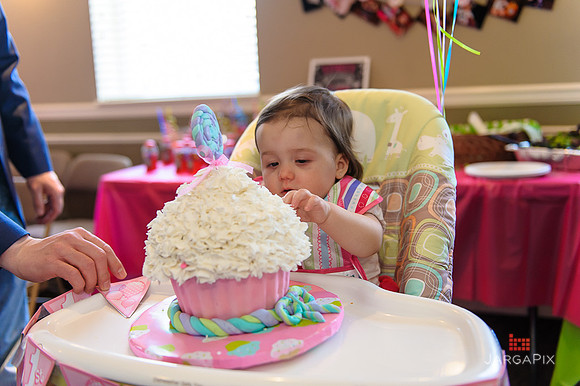 Tenley's_1st_Birthday_Party-083