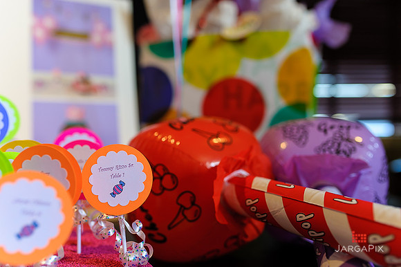 Tenley's_1st_Birthday_Party-002