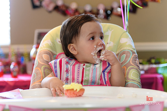 Tenley's_1st_Birthday_Party-093