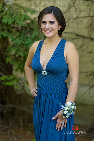 Erin_Prom-022