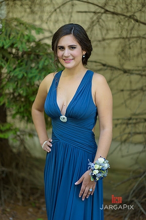 Erin_Prom-023