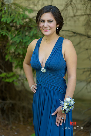Erin_Prom-021