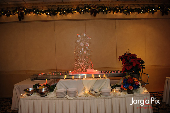 NJPain-Orthopedic Holiday Party 2012-010