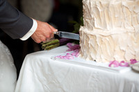Cake Cutting
