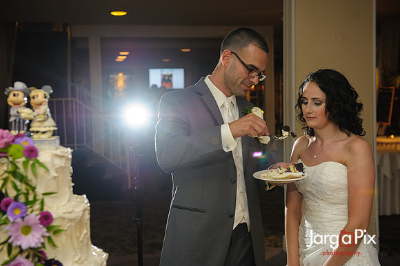 Chris_Stephanie_Messina_Wedding-1904