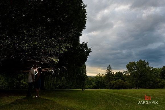 Beverly_Li_Engagement-008