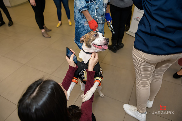 Soho_CitiGold_USQ _Activation-119