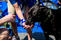 Soho_Exp_CitiBike_Union_Square_2017-086