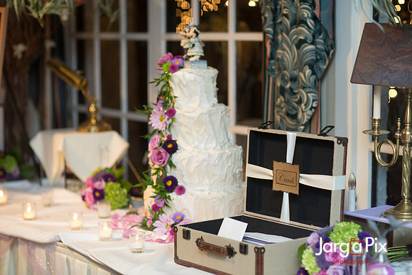 Chris_Stephanie_Messina_Wedding-1533