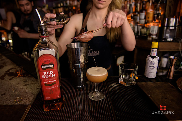 Soho_Exp_Red_Bush_Promo_Late_Late_Bar_NYC-157