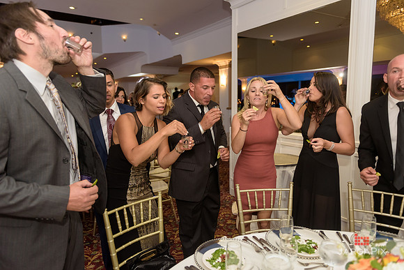 Sasha_Bruce_Elia_Wedding_1083
