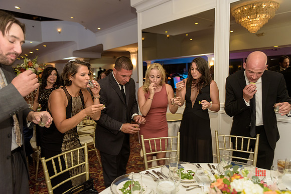Sasha_Bruce_Elia_Wedding_1084
