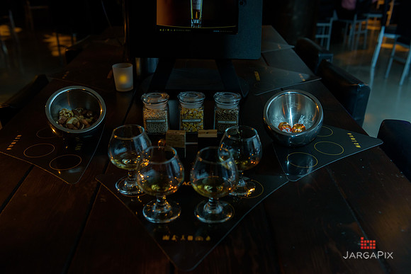 Soho_Raise_The_Macallan_2015-129