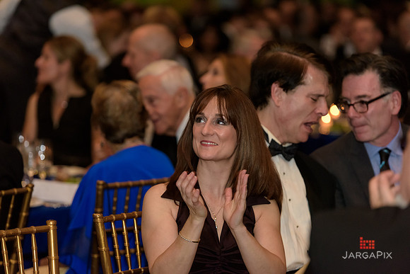 The_Galien_Foundation_Awards_2015_AMONH-278