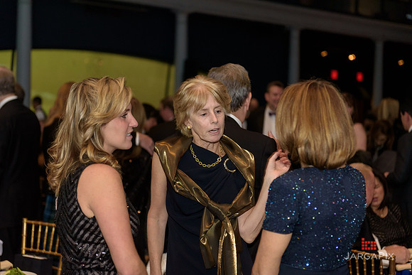 The_Galien_Foundation_Awards_2015_AMONH-194