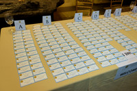 The_Galien_Foundation_Awards_2015_AMONH-008