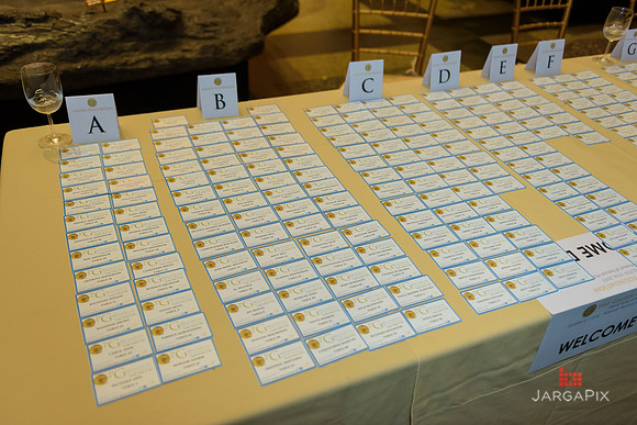The_Galien_Foundation_Awards_2015_AMONH-008