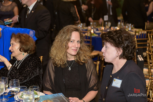 The_Galien_Foundation_Awards_2015_AMONH-198