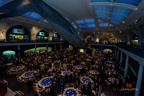 The_Galien_Foundation_Awards_2015_AMONH-191