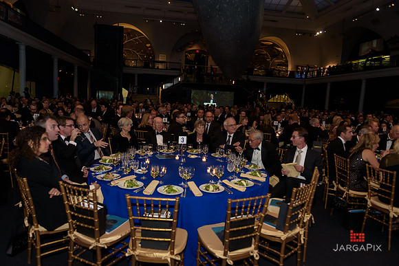 The_Galien_Foundation_Awards_2015_AMONH-230