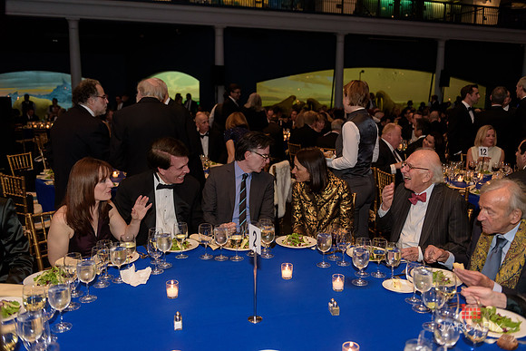 The_Galien_Foundation_Awards_2015_AMONH-215