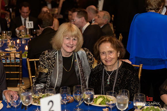 The_Galien_Foundation_Awards_2015_AMONH-210