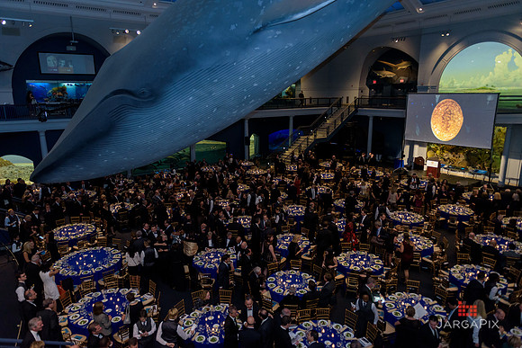 The_Galien_Foundation_Awards_2015_AMONH-188