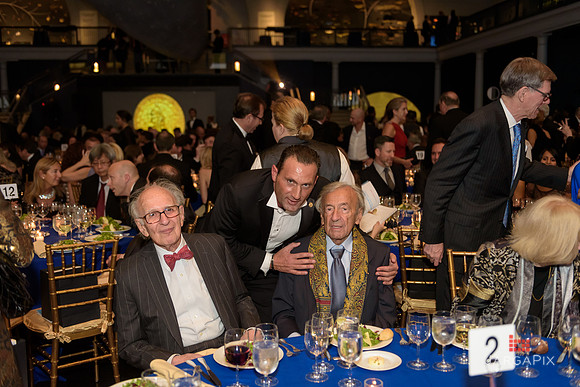 The_Galien_Foundation_Awards_2015_AMONH-208