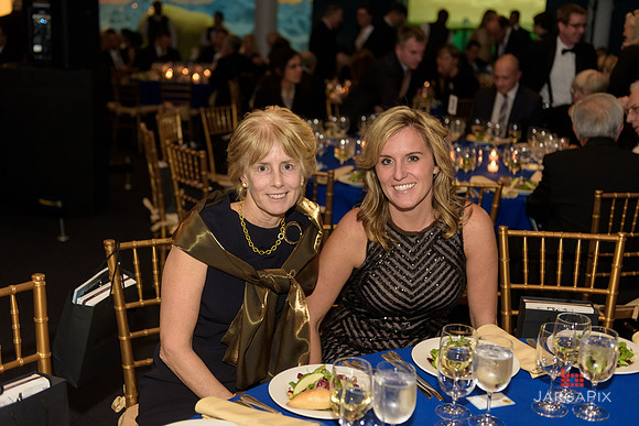 The_Galien_Foundation_Awards_2015_AMONH-217