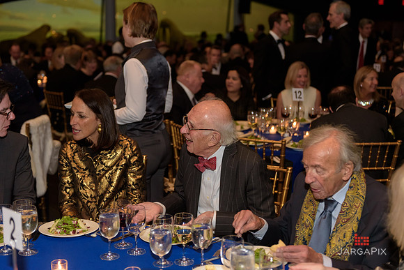 The_Galien_Foundation_Awards_2015_AMONH-214