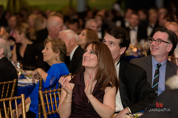 The_Galien_Foundation_Awards_2015_AMONH-274