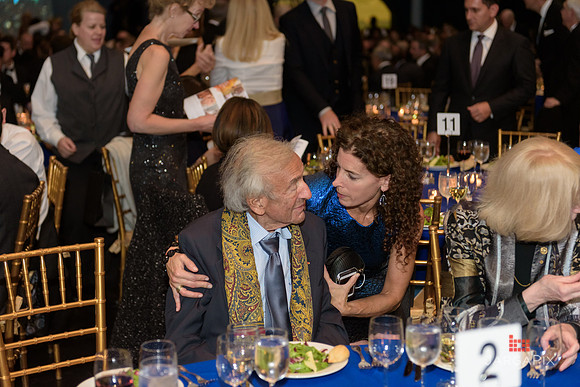 The_Galien_Foundation_Awards_2015_AMONH-197