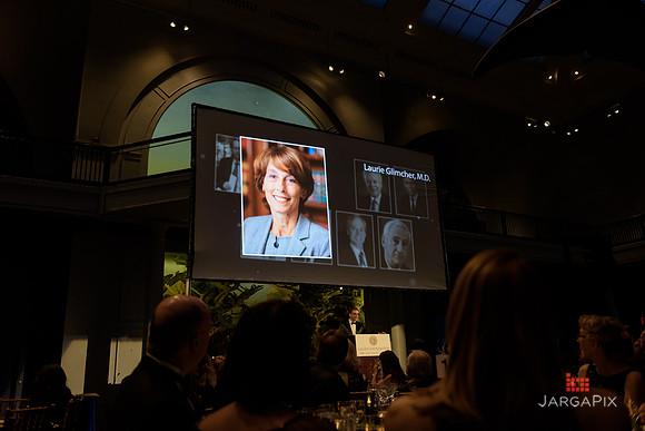 The_Galien_Foundation_Awards_2015_AMONH-246
