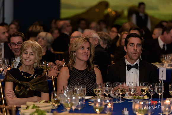 The_Galien_Foundation_Awards_2015_AMONH-273