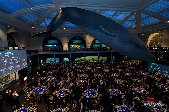 The_Galien_Foundation_Awards_2015_AMONH-192