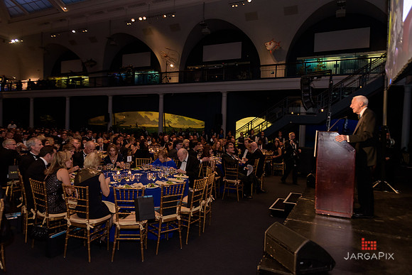 The_Galien_Foundation_Awards_2015_AMONH-232