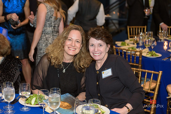 The_Galien_Foundation_Awards_2015_AMONH-200