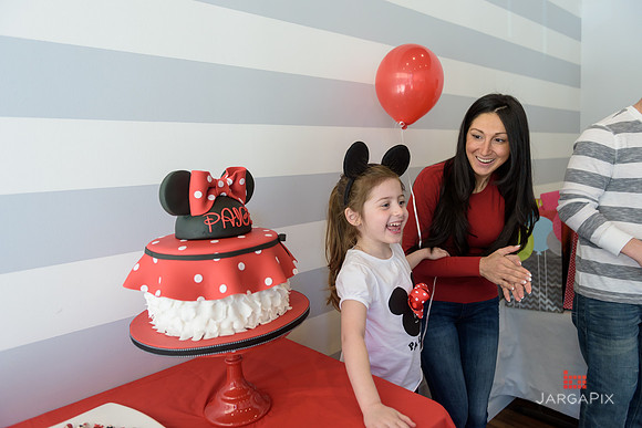 Paige_Hatton_5th_Birthday-152