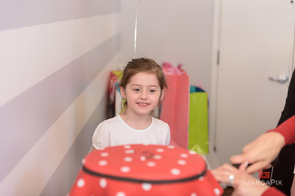 Paige_Hatton_5th_Birthday-222