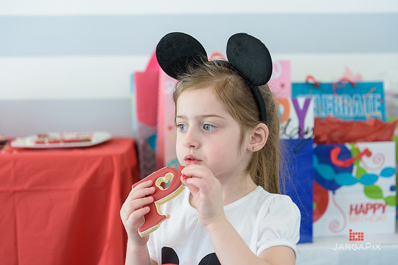 Paige_Hatton_5th_Birthday-281