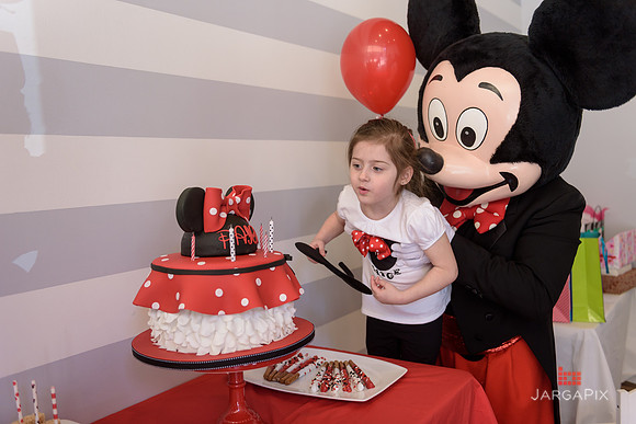 Paige_Hatton_5th_Birthday-213