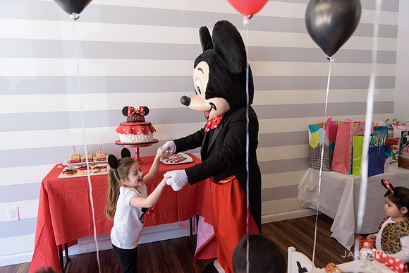 Paige_Hatton_5th_Birthday-185