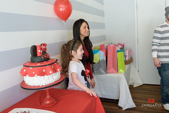 Paige_Hatton_5th_Birthday-158