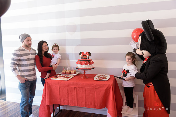 Paige_Hatton_5th_Birthday-208