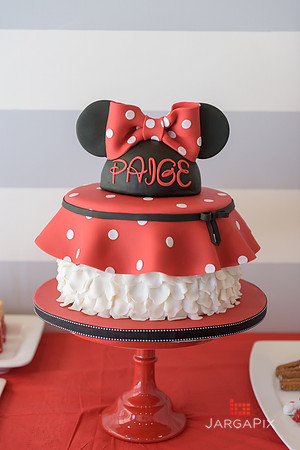 Paige_Hatton_5th_Birthday-007