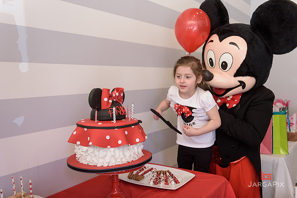 Paige_Hatton_5th_Birthday-214