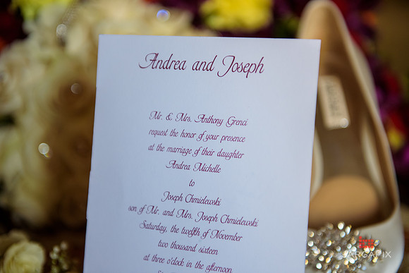 A_Celebs_Wedding_11-12-2016-0008