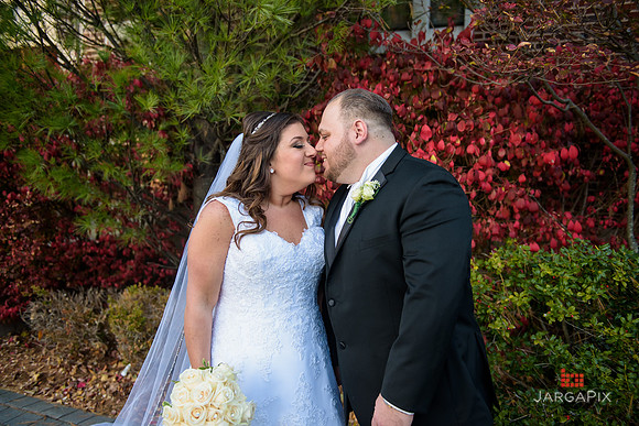 A_Celebs_Wedding_11-12-2016-0325