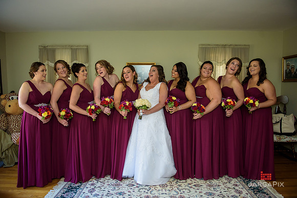 A_Celebs_Wedding_11-12-2016-0166